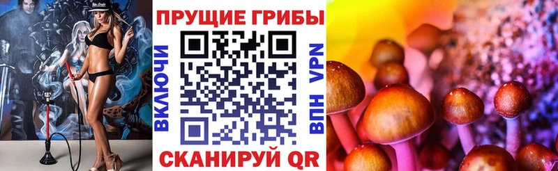 Купить закладки  Ишим  Галлюциногенные грибы ЛСД 